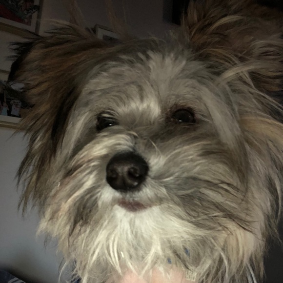 Meet your Posher, Andrew - Picture 1 of 1